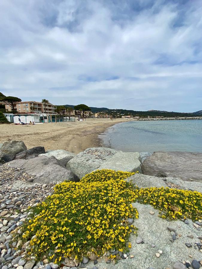 Studio 150 M De Plage Golfe De Saint-Tropez 카발레르쉬르메르 외부 사진